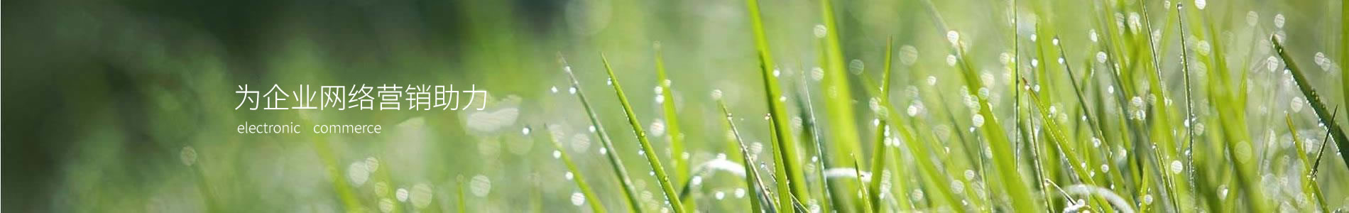 żƼ޹˾